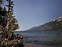 The Grand Tetons - Triptych - Left Panel